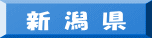 新 潟 県