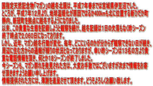 ���w��V�R�L�O���u�}�K���v�̉z�~�k���́A�����V�N�t�܂ł͋{�錧�ɓ����ł����B �Ƃ��낪�A�����V�N�P�Q�����A�n�����g���������ł͂邩400km���k�Ɉʒu����V�Ђ����� �Ó��A�V���������_�ɉz�~����悤�ɂȂ�܂����B �ȗ��A���̋M�d�Ȑ��Ԃ��L�^���悤�Ɗώ@�𑱂��A�z�~�L�^�͂P���̌������Ȃ����V�[�Y�� �I�����_�łQ,�O�U�O���ɂȂ��Ă���܂��B �������A�ߔN�A�}�K���z�~�s�����ω��A���N�A�ǂ��ɂ���̂��������炸�ώ@�ł��Ȃ����������A ���ӂɏZ�ޕ�����̒ʕ񂪗���̏󋵂ƂȂ��Ă���܂����A�K�����V�[�Y���͂P�R���̕����M �d�ȓd�b���𒸂��A���Ƃ��P�W�V�[�Y�����I�����܂����B ���V�[�Y�����A�}�K���Q��𔭌����ꂽ���́A��ς��萔�ł͂������܂������܂ŏ������� �������܂��悤���肢�\���グ�܂��B ���񋟂��ꂽ���ɂ́A���ӂ�i�悳���Ē����܂��B�ǂ�����낵�����肢�v���܂��B 