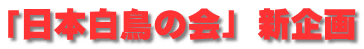 「日本白鳥の会」 新企画