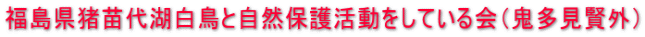 福島県猪苗代湖白鳥と自然保護活動をしている会（鬼多見賢外）