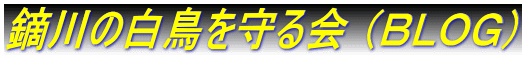 鏑川の白鳥を守る会 （ＢＬＯＧ）