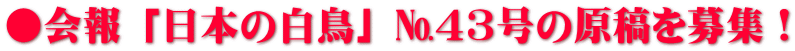 ●会報 「日本の白鳥」 №43号の原稿を募集！