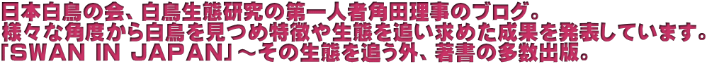 日本白鳥の会、白鳥生態研究の第一人者角田理事のブログ。 様々な角度から白鳥を見つめ特徴や生態を追い求めた成果を発表しています。 「ＳＷＡＮ ＩＮ ＪＡＰＡＮ」～その生態を追う外、著書の多数出版。