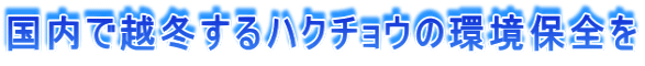 国内で越冬するハクチョウの環境保全を