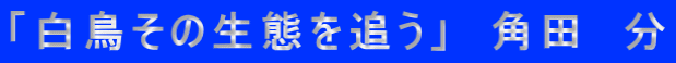「白鳥その生態を追う」　角田　分