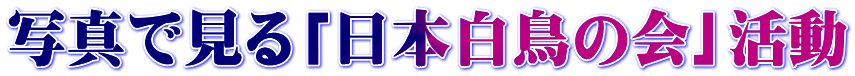 写真で見る「日本白鳥の会」活動
