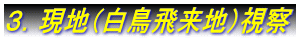 ３．現地（白鳥飛来地）視察