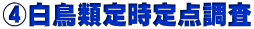 ④白鳥類定時定点調査