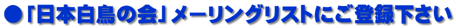 ●「日本白鳥の会」メーリングリストにご登録下さい