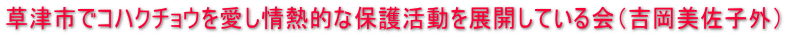 草津市でコハクチョウを愛し情熱的な保護活動を展開している会（吉岡美佐子外）