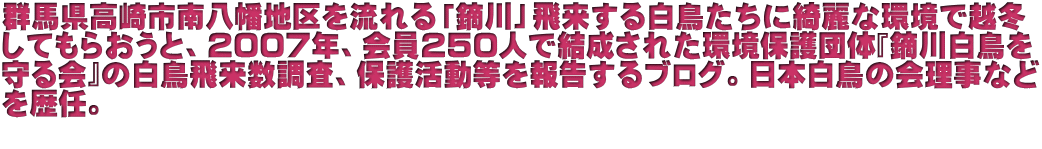 群馬県高崎市南八幡地区を流れる「鏑川」飛来する白鳥たちに綺麗な環境で越冬 してもらおうと、2007年、会員250人で結成された環境保護団体『鏑川白鳥を 守る会』の白鳥飛来数調査、保護活動等を報告するブログ。日本白鳥の会理事など を歴任。  